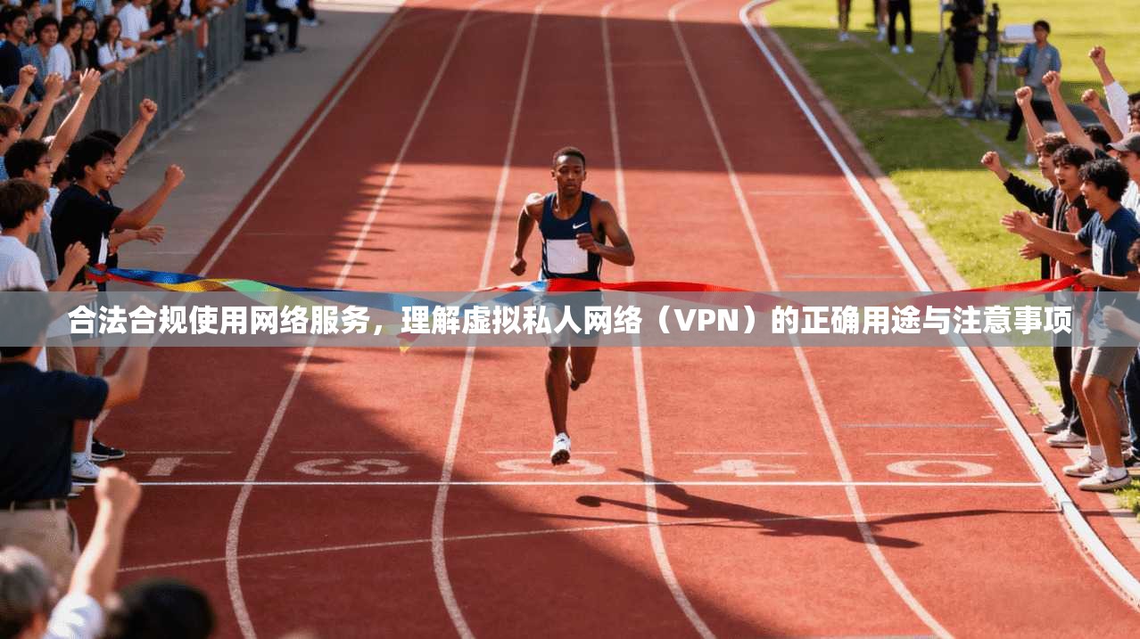 合法合规使用网络服务，理解虚拟私人网络（VPN）的正确用途与注意事项