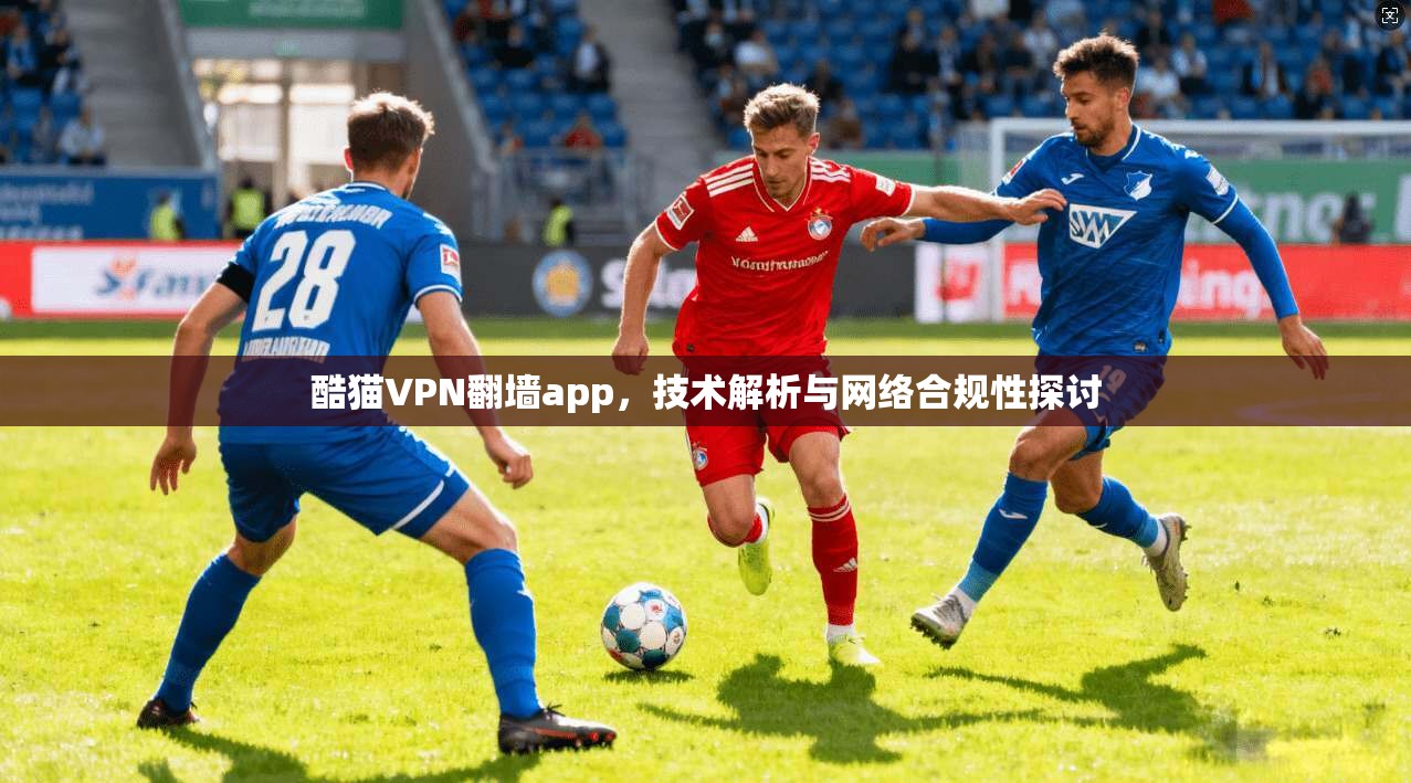 酷猫VPN翻墙app,技术解析与网络合规性探讨