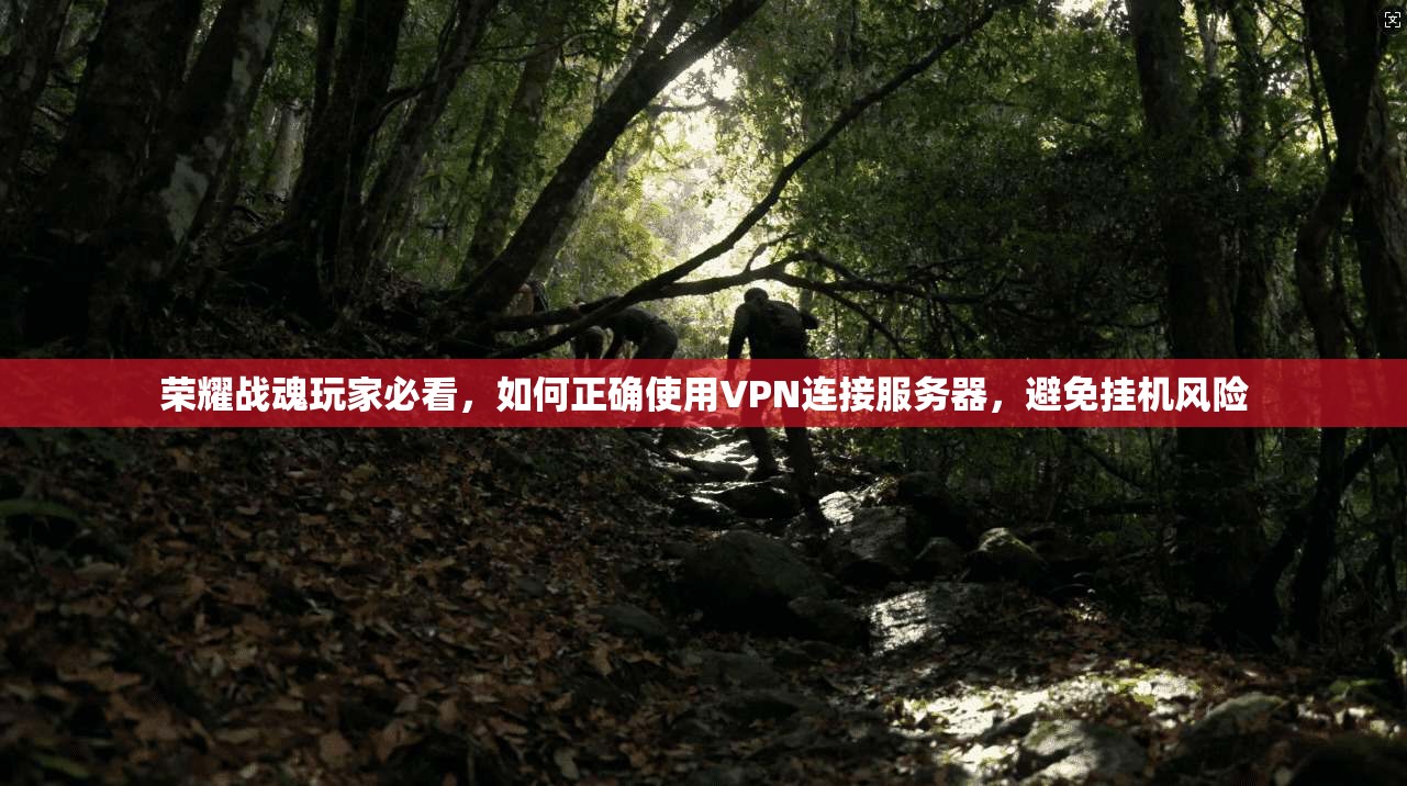 荣耀战魂玩家必看，如何正确使用VPN连接服务器，避免挂机风险
