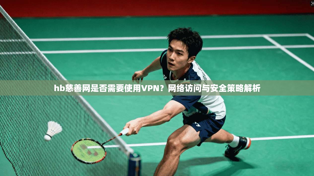 hb慈善网是否需要使用VPN？网络访问与安全策略解析