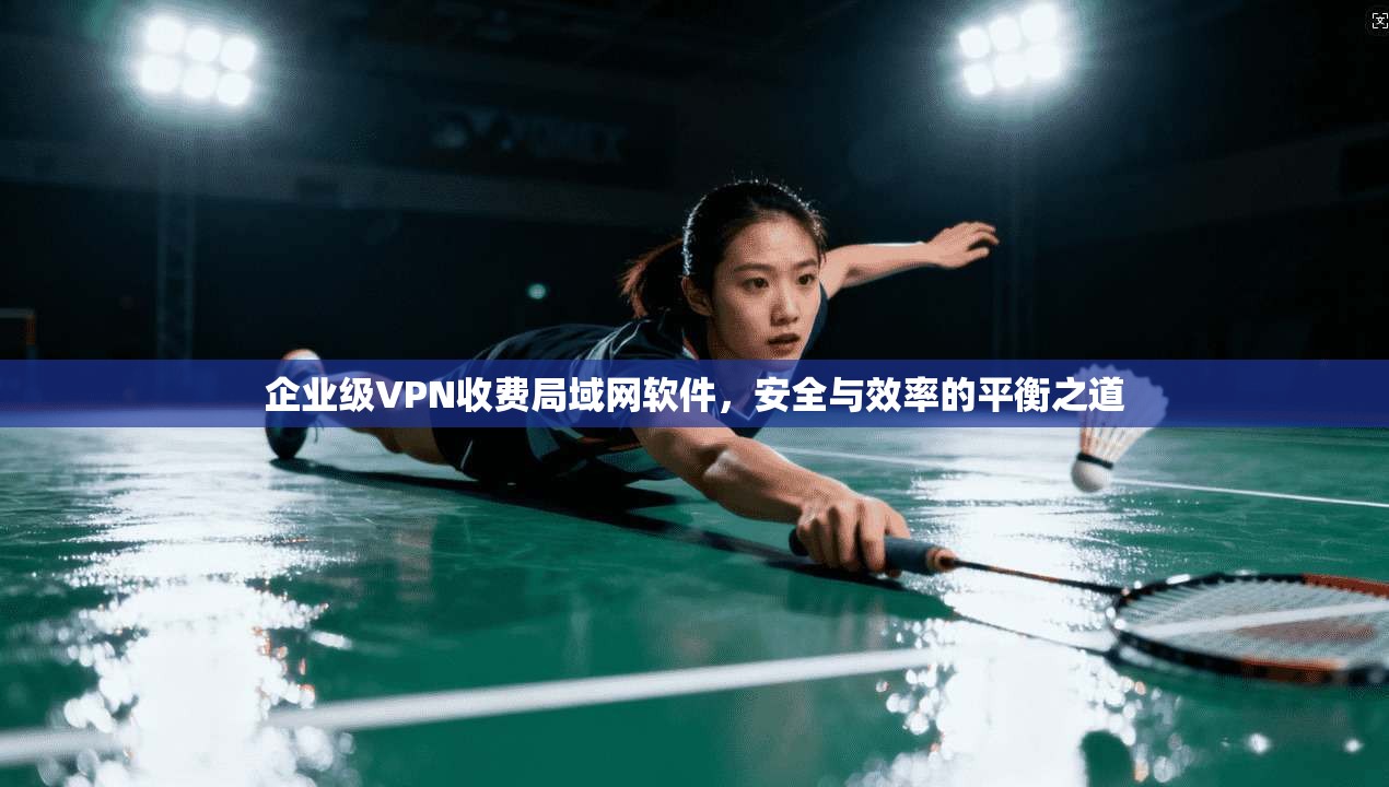 企业级VPN收费局域网软件,安全与效率的平衡之道