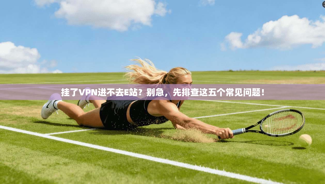 挂了VPN进不去E站？别急，先排查这五个常见问题！