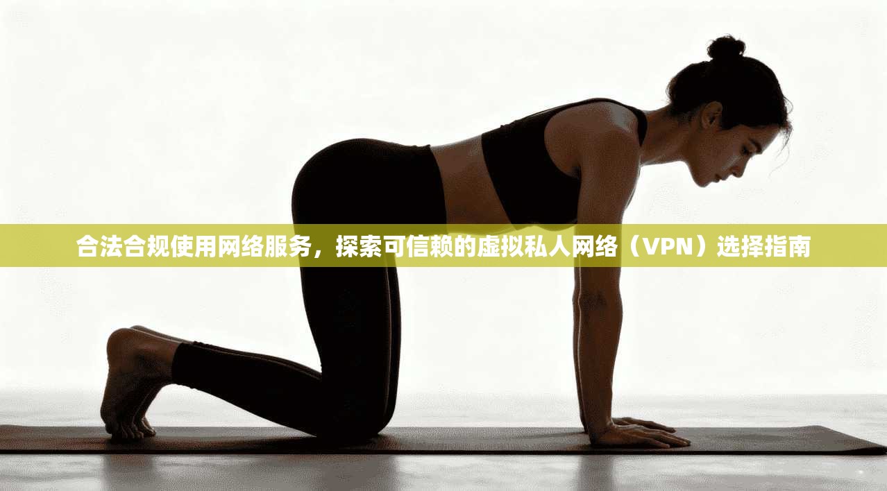 合法合规使用网络服务,探索可信赖的虚拟私人网络(VPN)选择指南