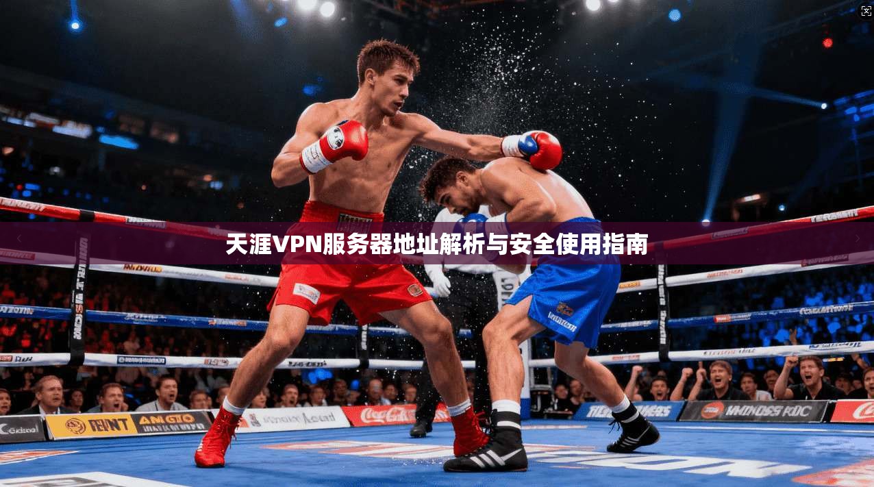 天涯VPN服务器地址解析与安全使用指南