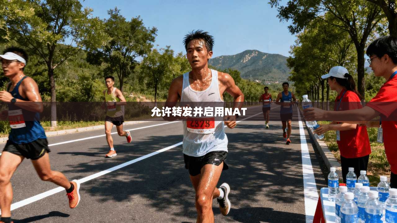允许转发并启用NAT