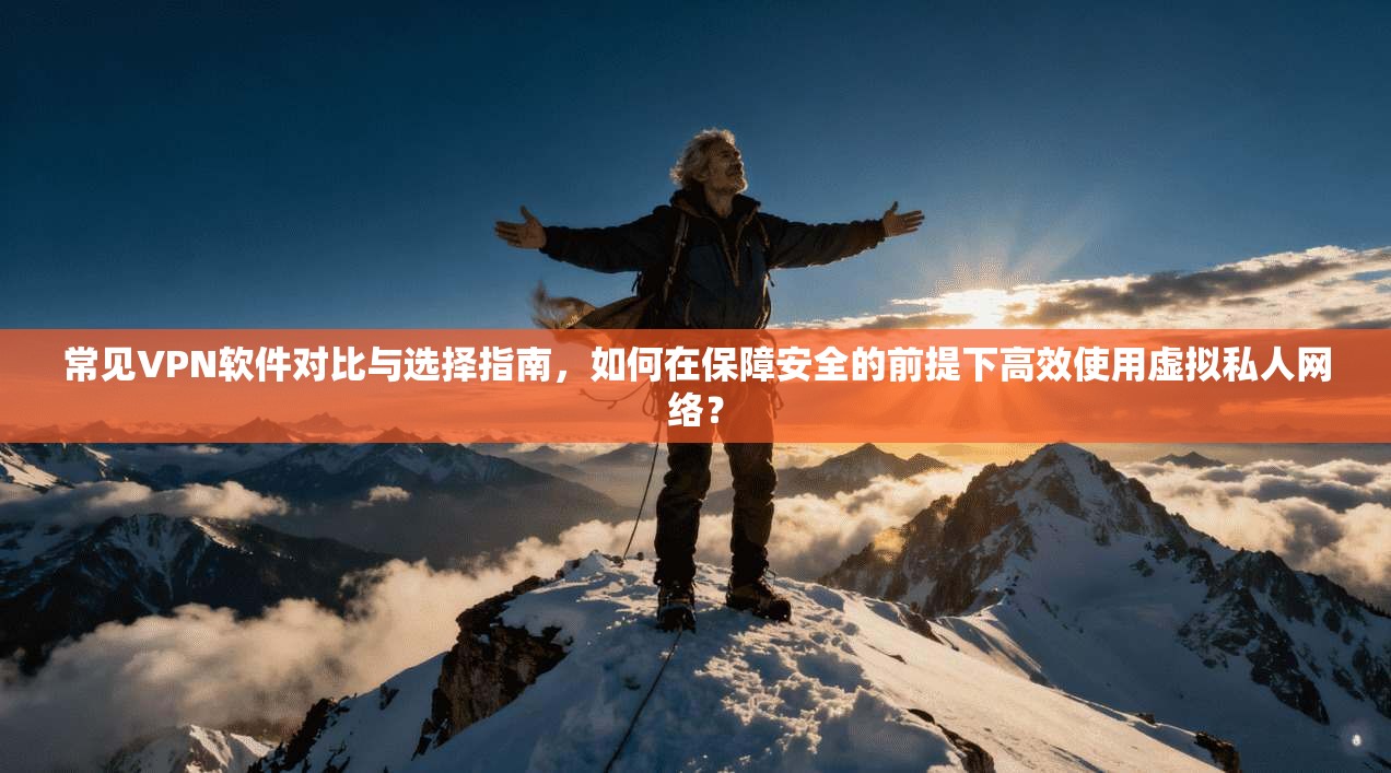 常见VPN软件对比与选择指南，如何在保障安全的前提下高效使用虚拟私人网络？