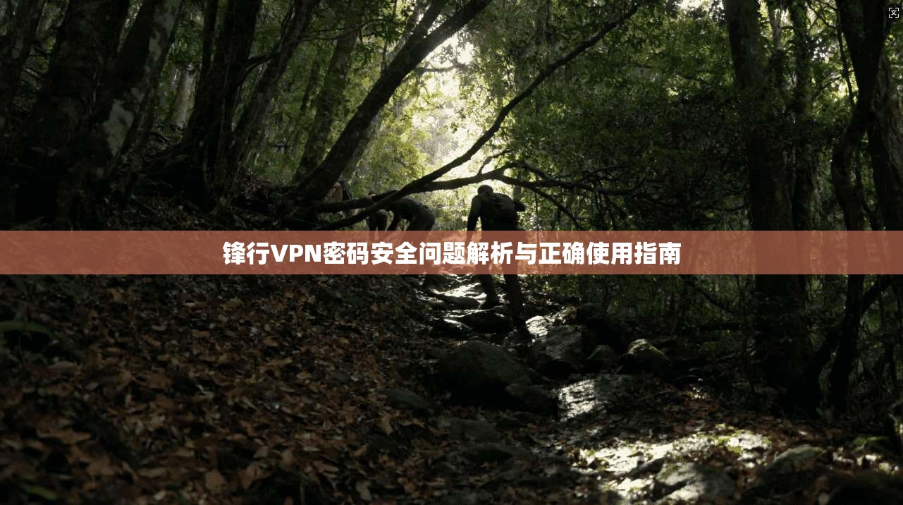锋行VPN密码安全问题解析与正确使用指南