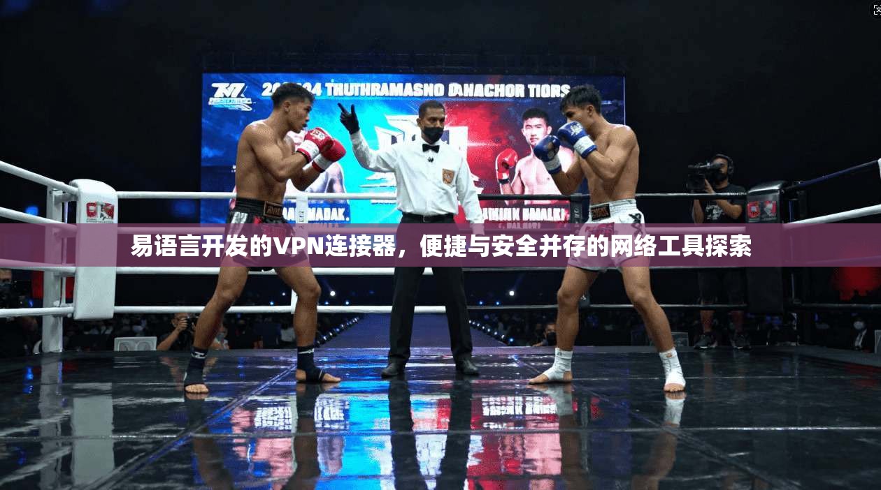 易语言开发的VPN连接器，便捷与安全并存的网络工具探索