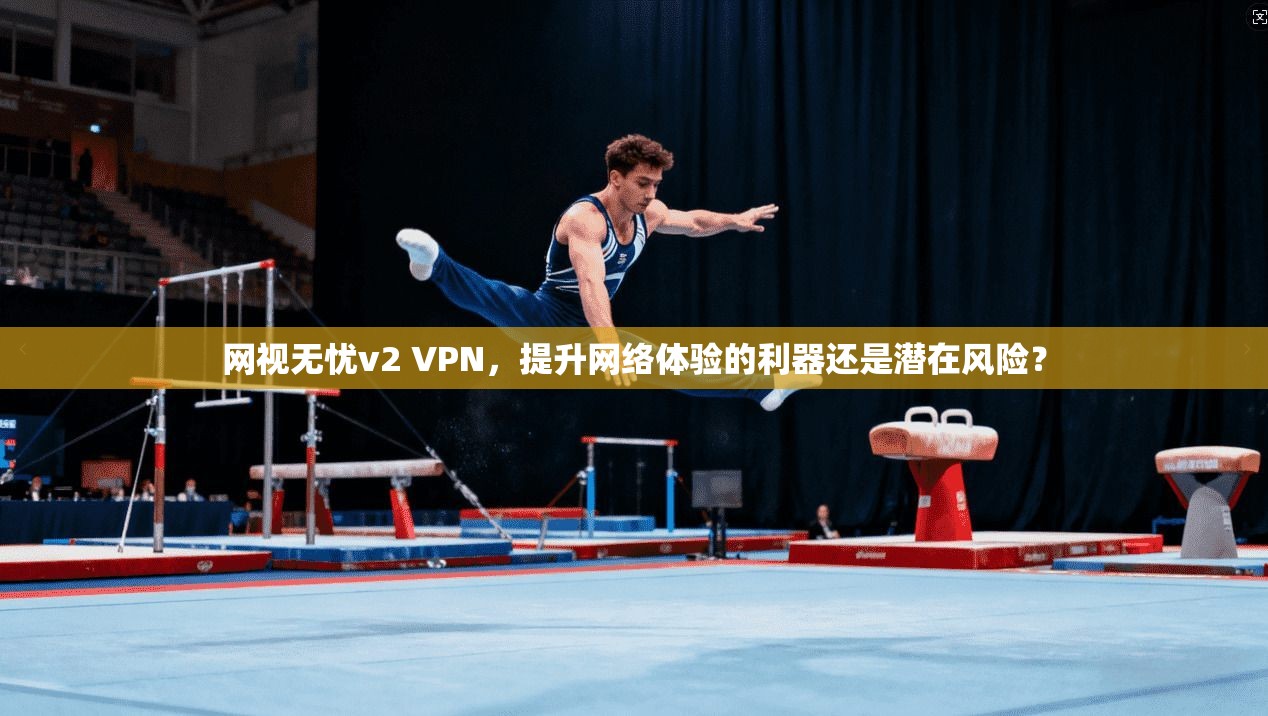 网视无忧v2 VPN，提升网络体验的利器还是潜在风险？
