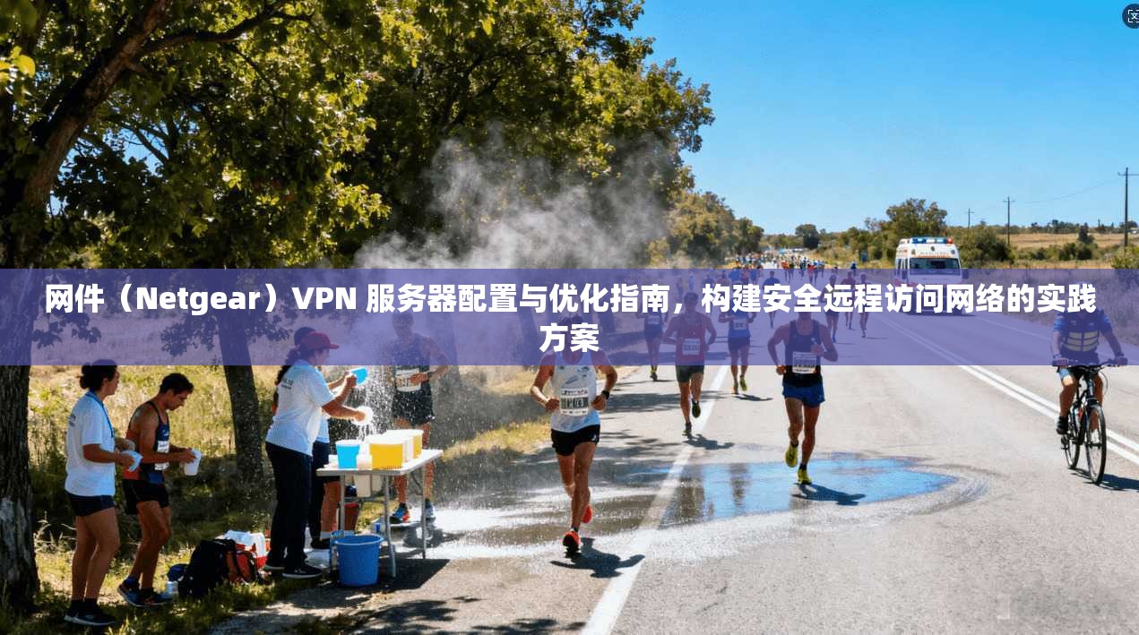 网件（Netgear）VPN 服务器配置与优化指南，构建安全远程访问网络的实践方案