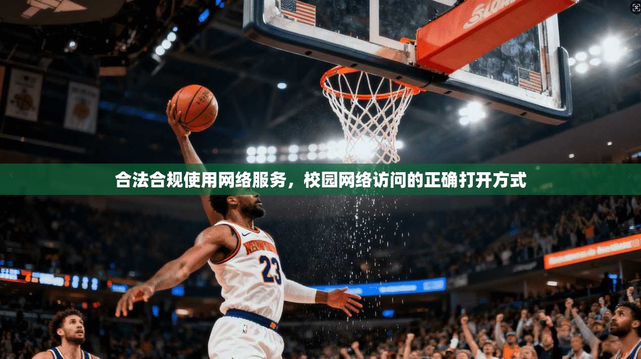 合法合规使用网络服务，校园网络访问的正确打开方式