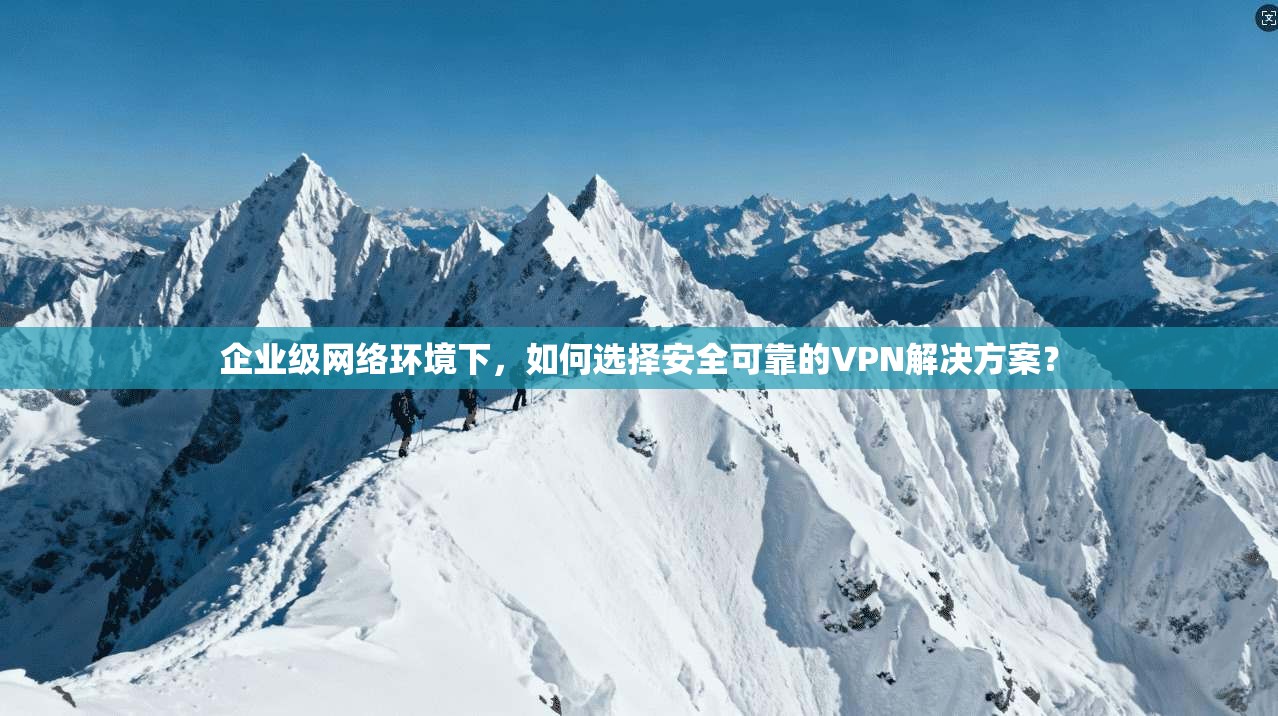 企业级网络环境下，如何选择安全可靠的VPN解决方案？