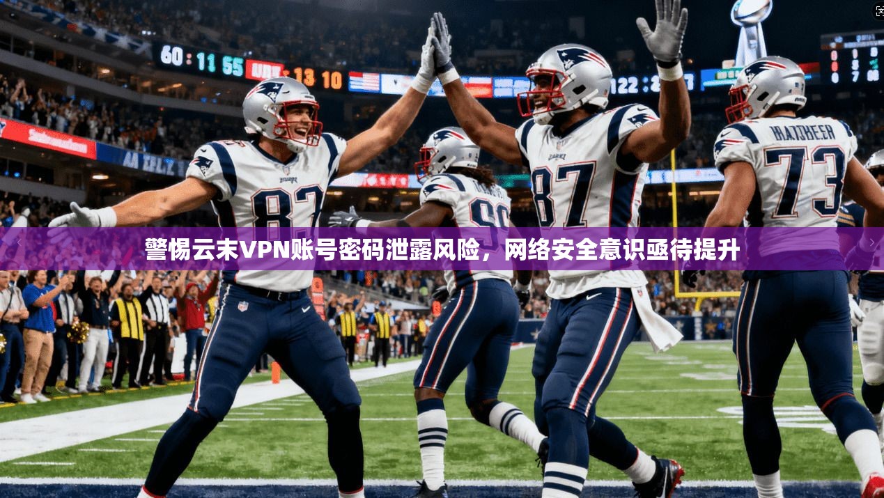 警惕云末VPN账号密码泄露风险,网络安全意识亟待提升
