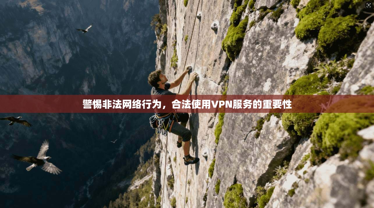 警惕非法网络行为，合法使用VPN服务的重要性