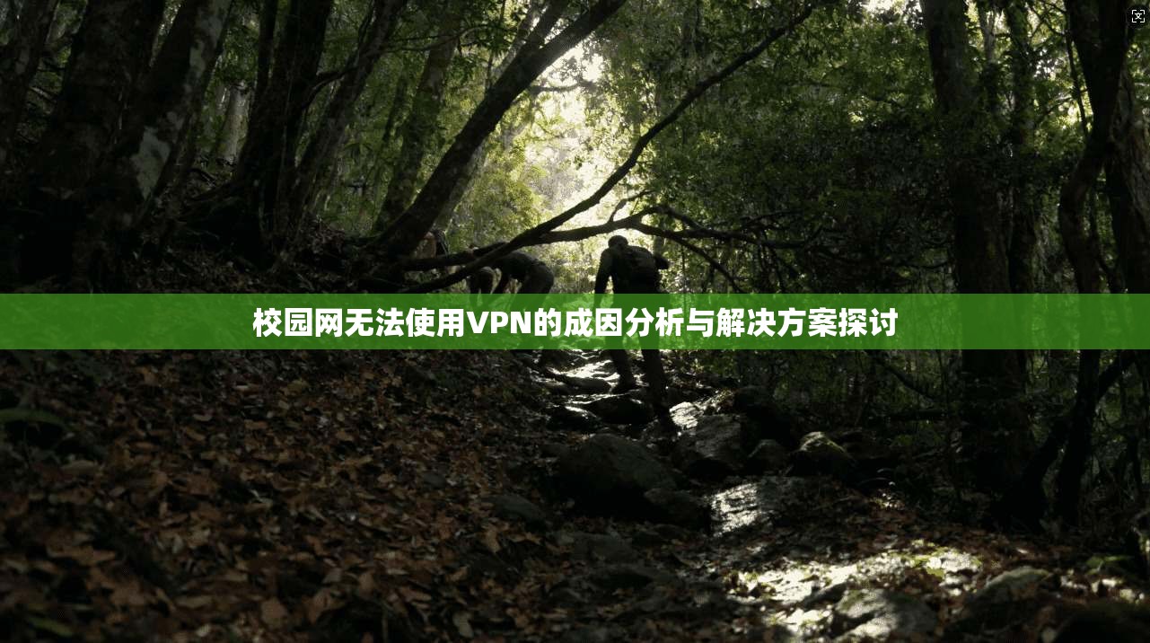 校园网无法使用VPN的成因分析与解决方案探讨
