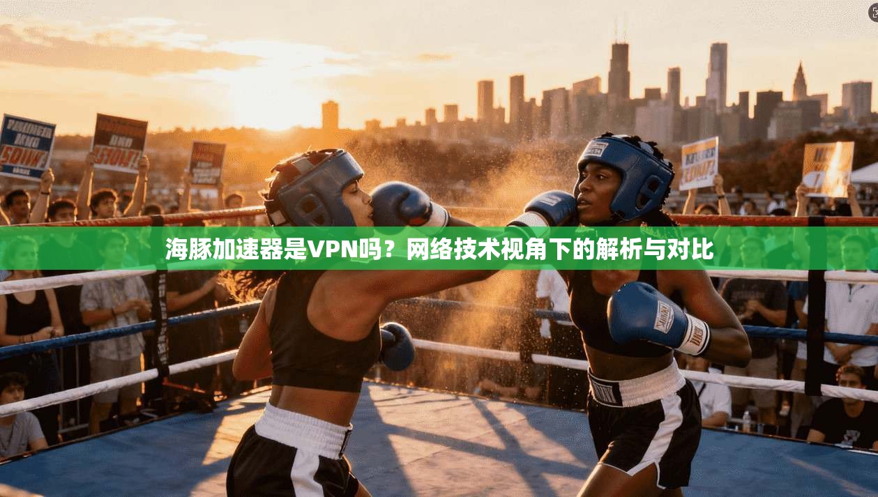 海豚加速器是VPN吗?网络技术视角下的解析与对比