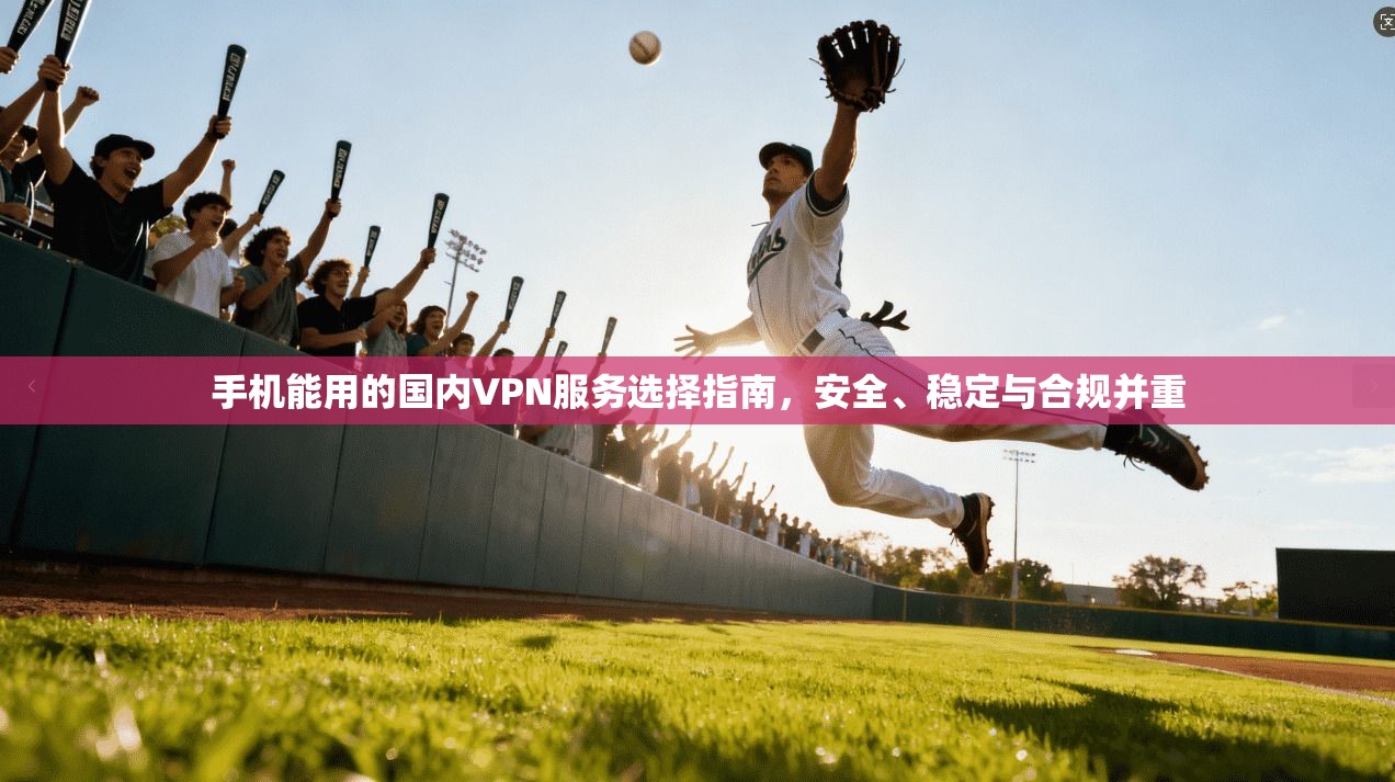 手机能用的国内VPN服务选择指南，安全、稳定与合规并重