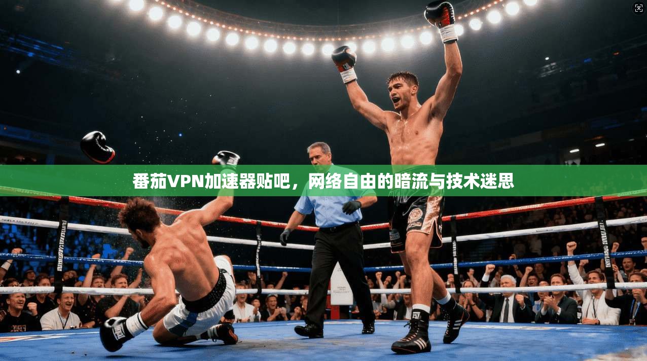 番茄VPN加速器贴吧，网络自由的暗流与技术迷思