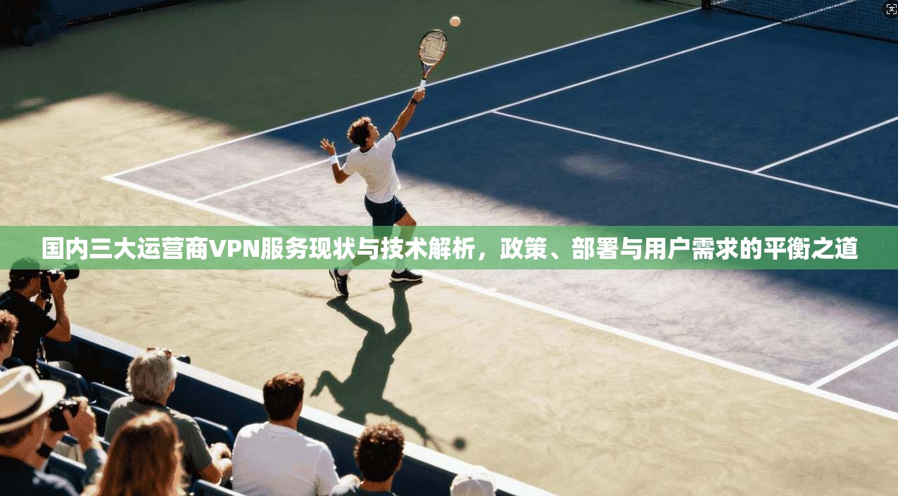 国内三大运营商VPN服务现状与技术解析,政策、部署与用户需求的平衡之道