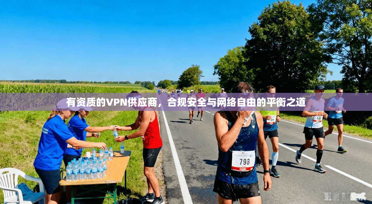 有资质的VPN供应商,合规安全与网络自由的平衡之道
