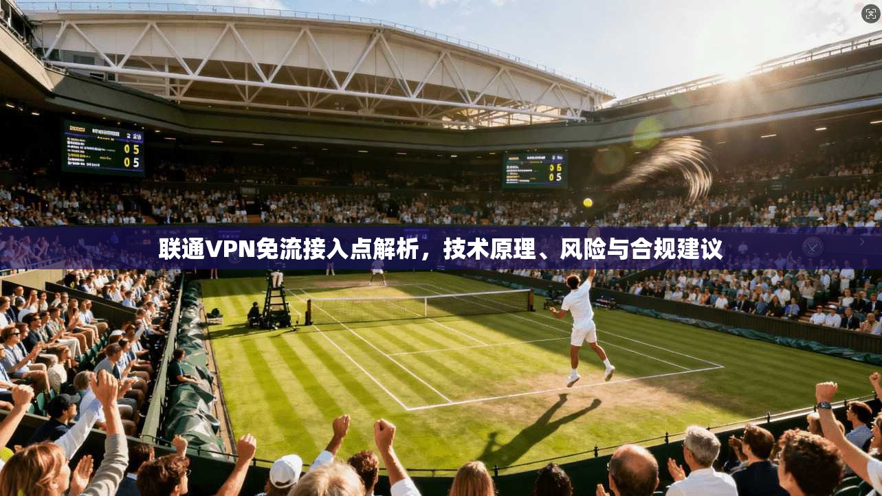 联通VPN免流接入点解析，技术原理、风险与合规建议