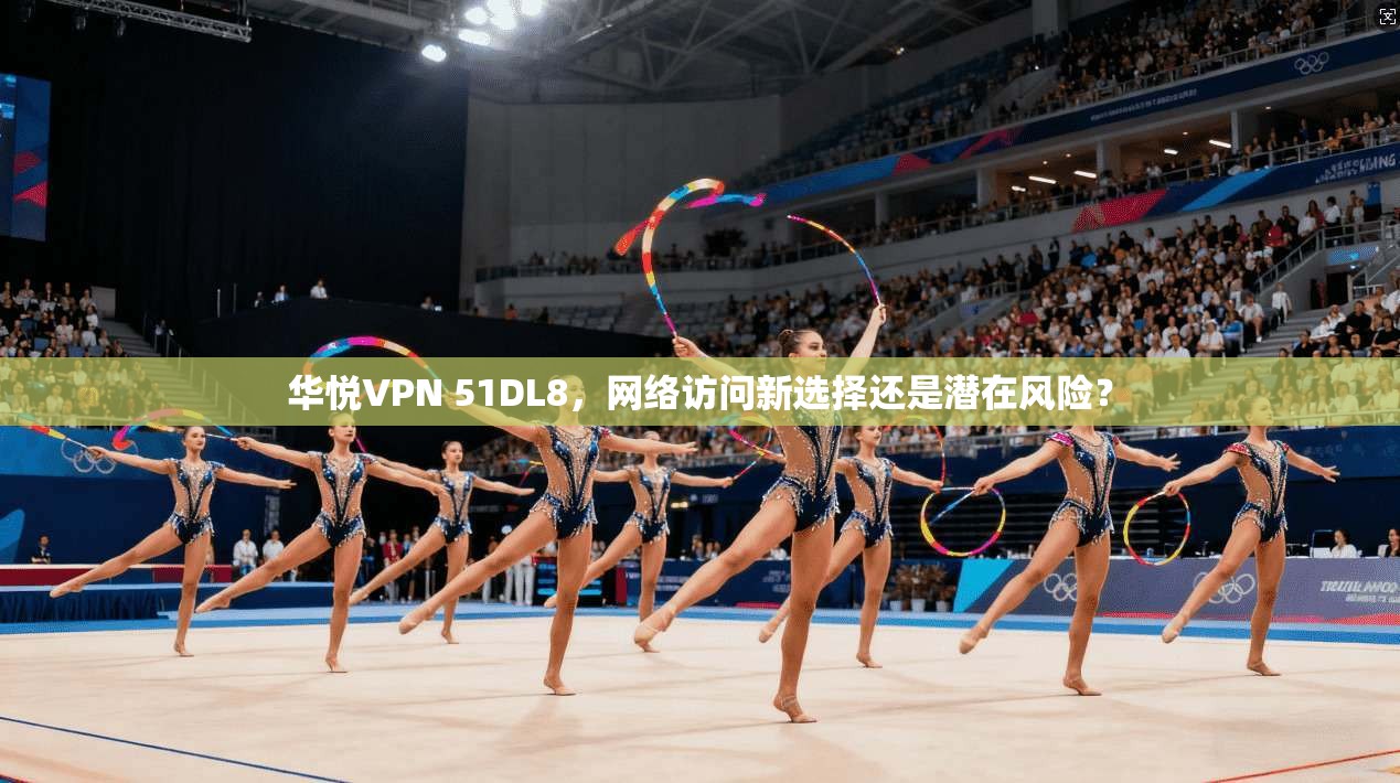 华悦VPN 51DL8,网络访问新选择还是潜在风险?