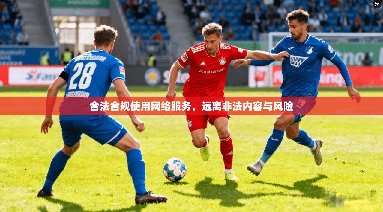 合法合规使用网络服务，远离非法内容与风险