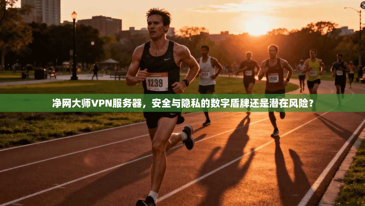净网大师VPN服务器,安全与隐私的数字盾牌还是潜在风险?