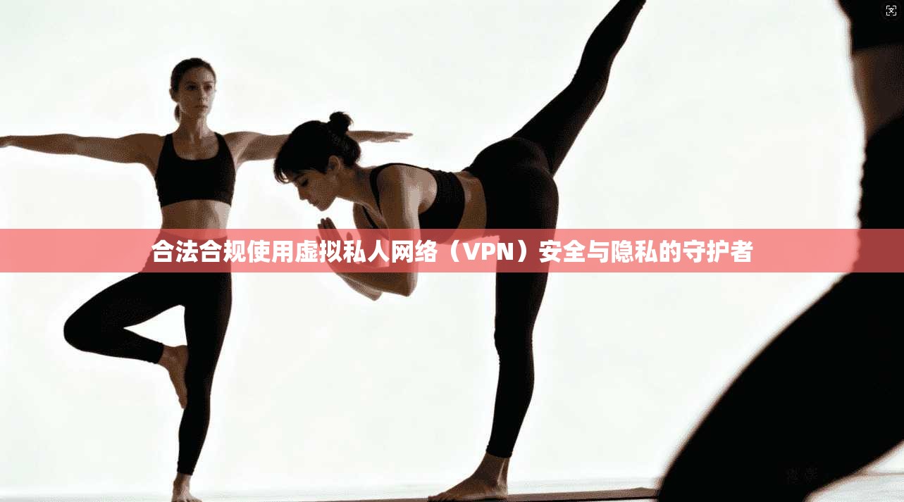 合法合规使用虚拟私人网络(VPN)安全与隐私的守护者