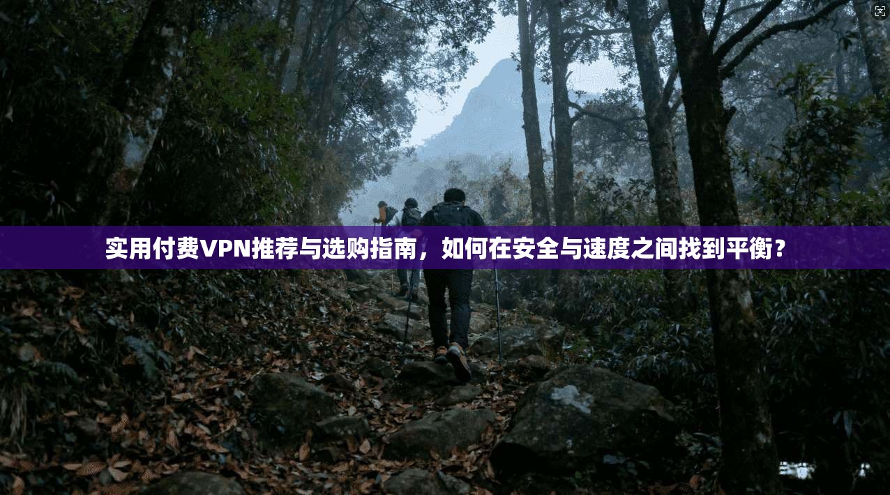 实用付费VPN推荐与选购指南,如何在安全与速度之间找到平衡?