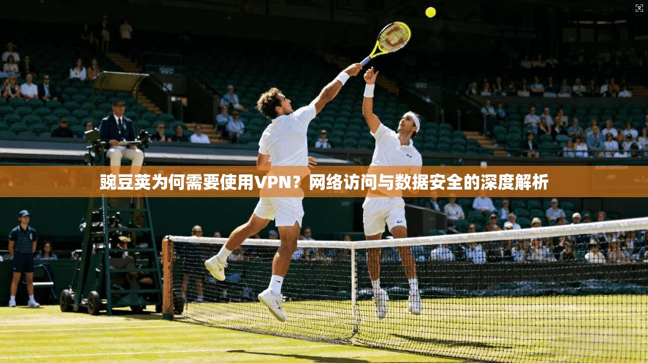 豌豆荚为何需要使用VPN？网络访问与数据安全的深度解析