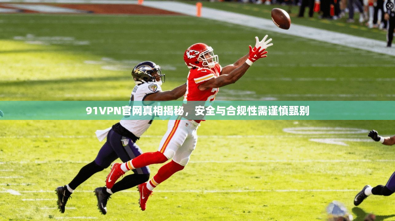 91VPN官网真相揭秘，安全与合规性需谨慎甄别