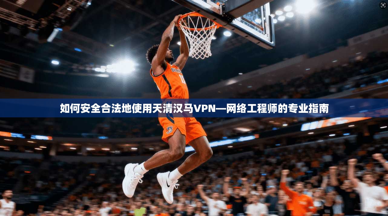 如何安全合法地使用天清汉马VPN—网络工程师的专业指南
