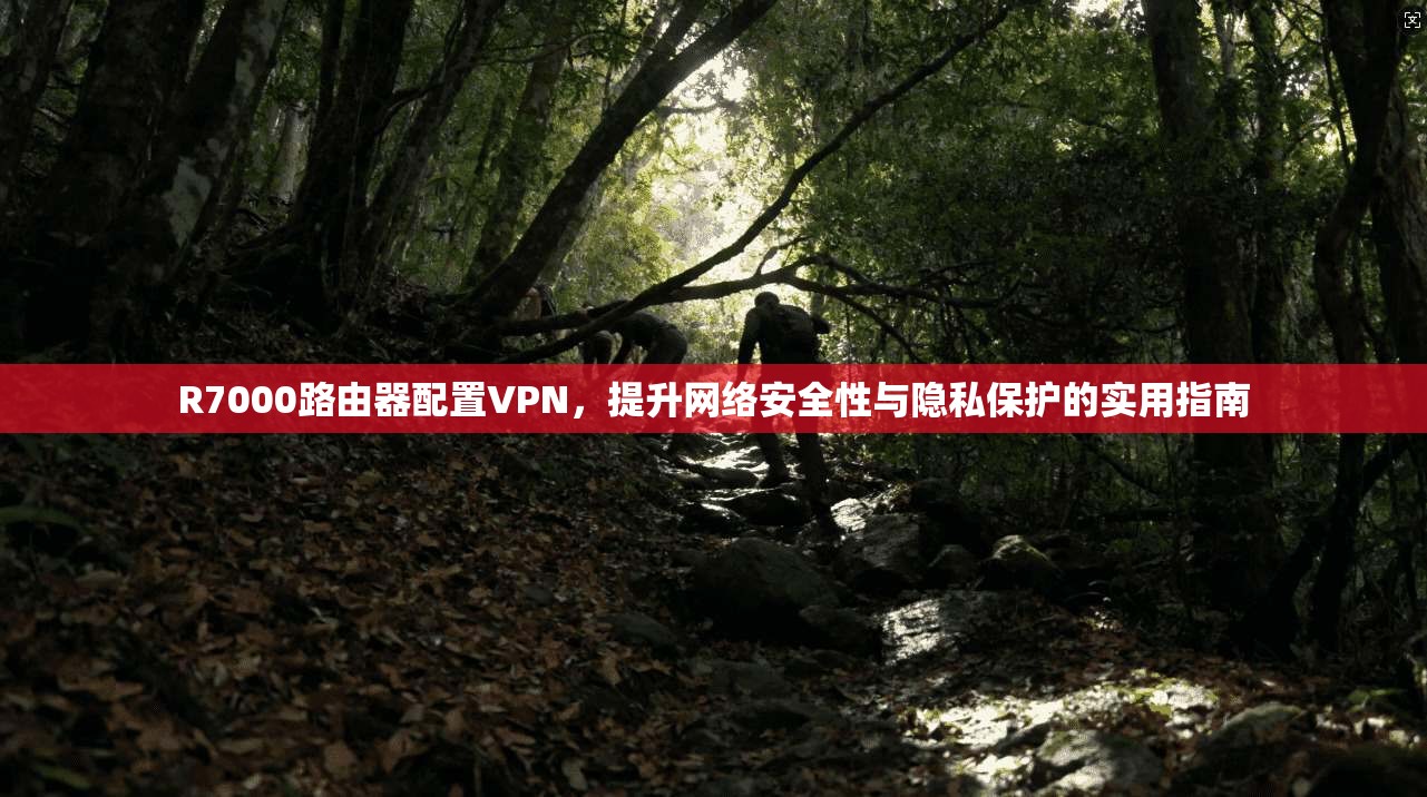 R7000路由器配置VPN，提升网络安全性与隐私保护的实用指南