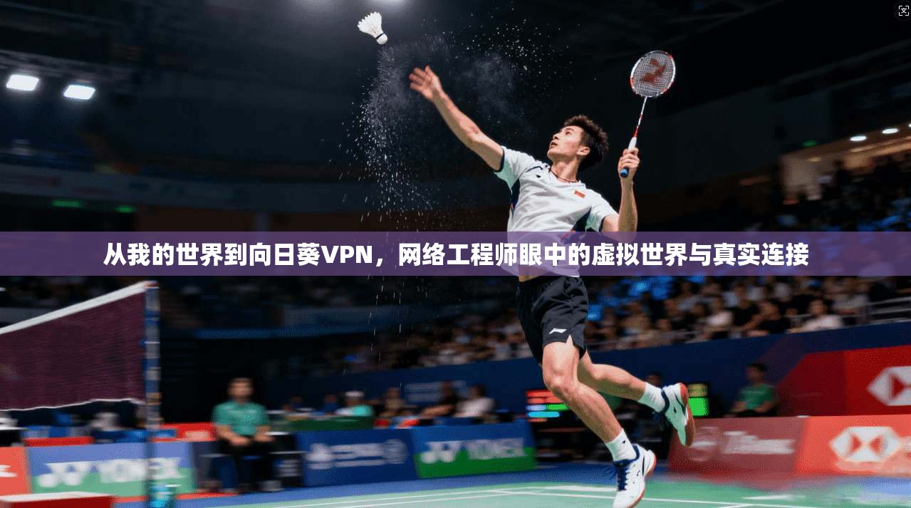 从我的世界到向日葵VPN，网络工程师眼中的虚拟世界与真实连接