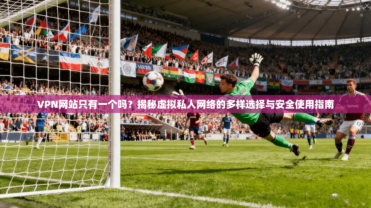 VPN网站只有一个吗？揭秘虚拟私人网络的多样选择与安全使用指南