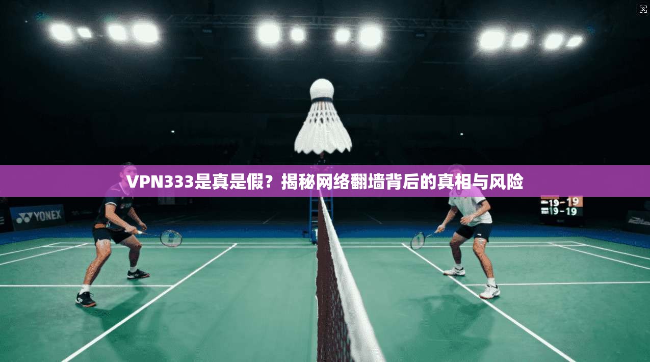 VPN333是真是假？揭秘网络翻墙背后的真相与风险