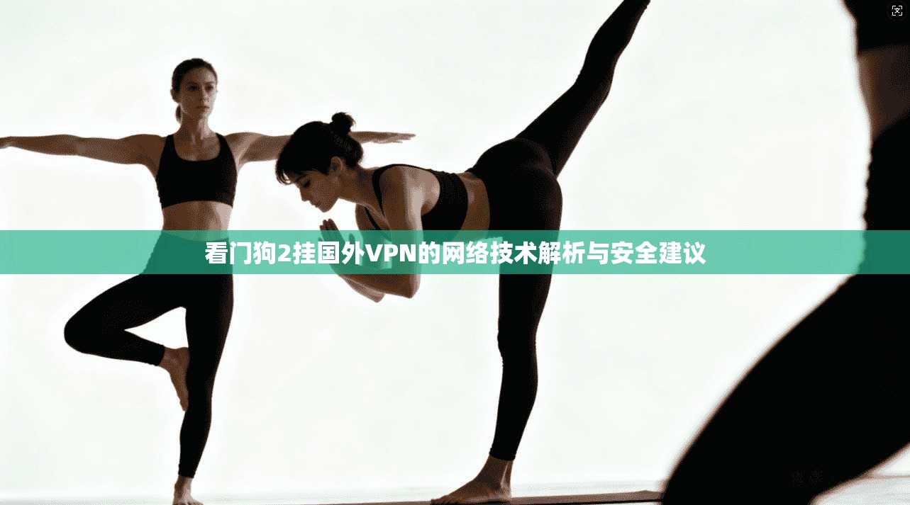 看门狗2挂国外VPN的网络技术解析与安全建议