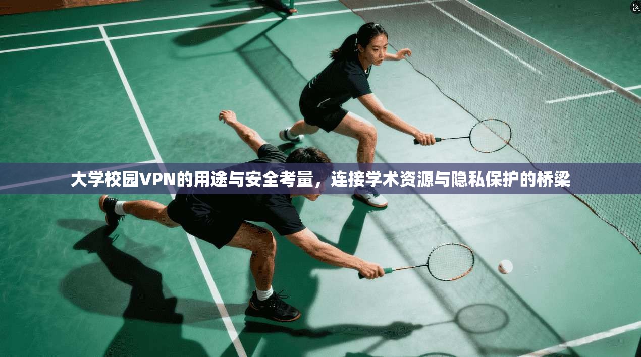 大学校园VPN的用途与安全考量,连接学术资源与隐私保护的桥梁