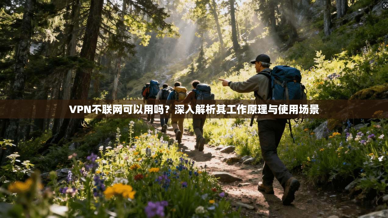 VPN不联网可以用吗？深入解析其工作原理与使用场景