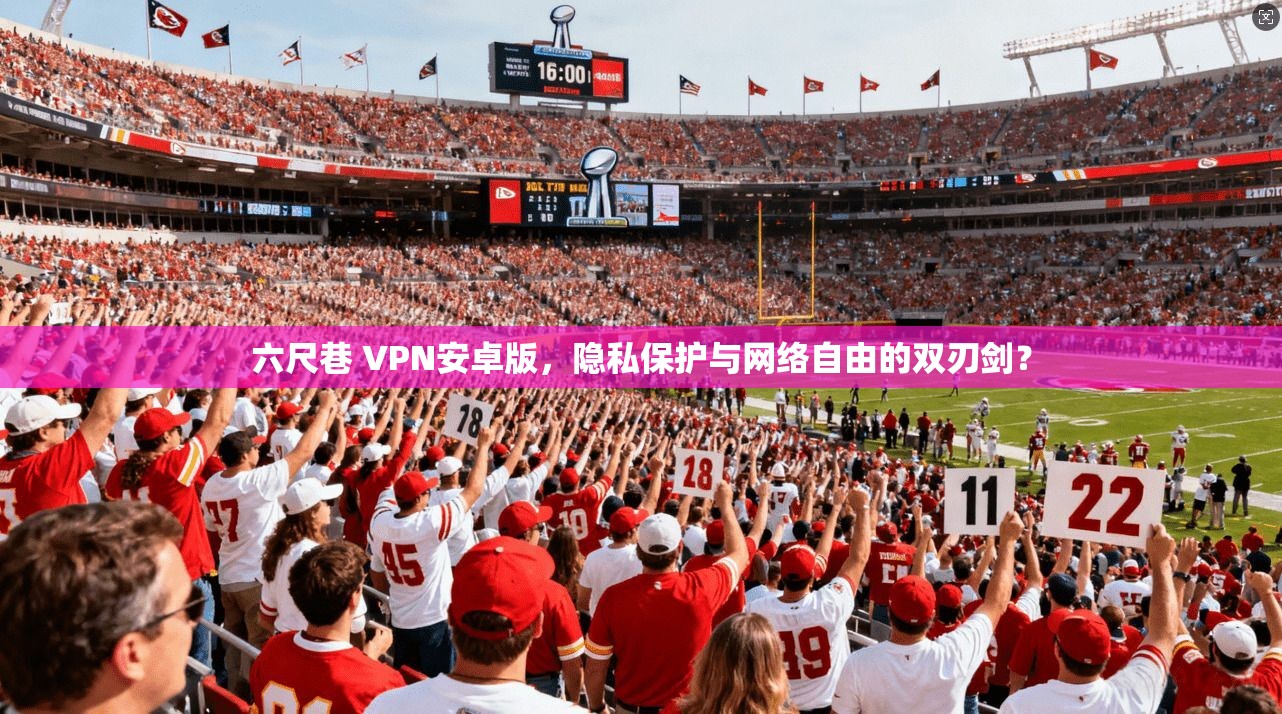 六尺巷 VPN安卓版，隐私保护与网络自由的双刃剑？