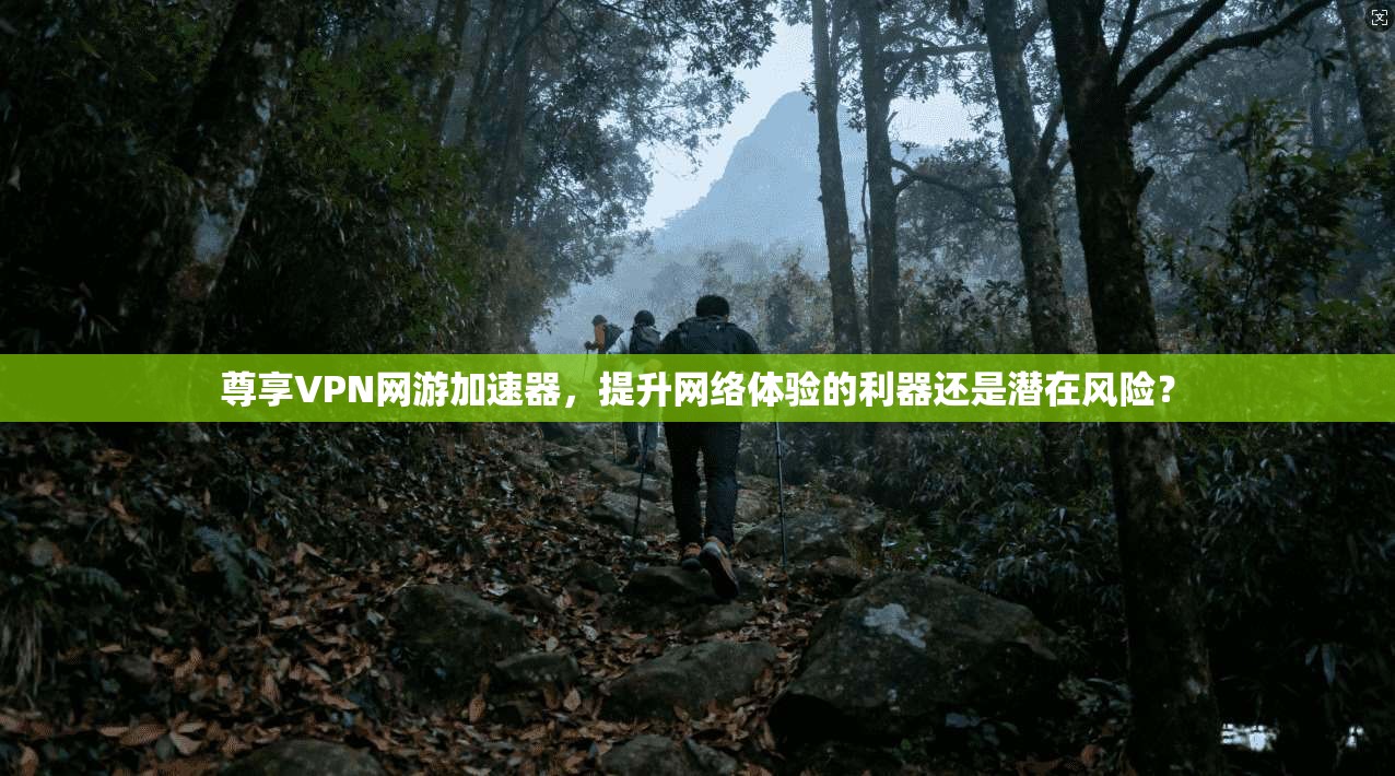 尊享VPN网游加速器，提升网络体验的利器还是潜在风险？