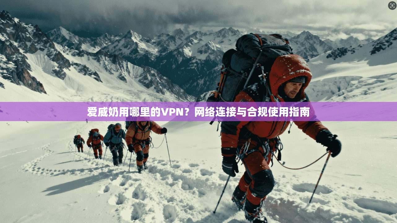 爱威奶用哪里的VPN？网络连接与合规使用指南