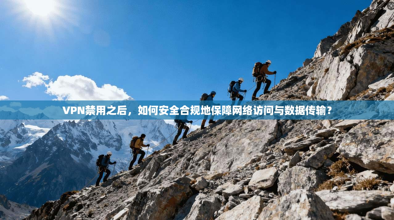 VPN禁用之后，如何安全合规地保障网络访问与数据传输？