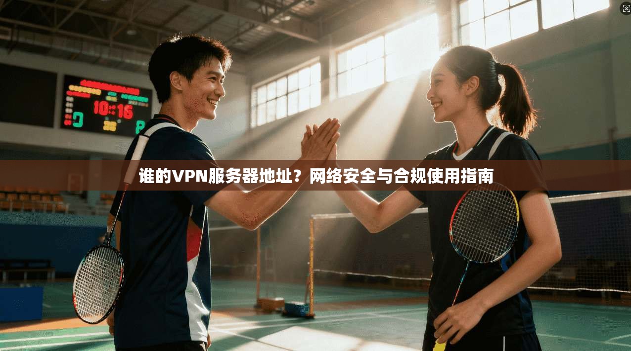 谁的VPN服务器地址?网络安全与合规使用指南
