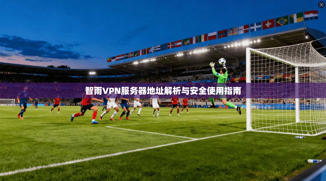 智雨VPN服务器地址解析与安全使用指南