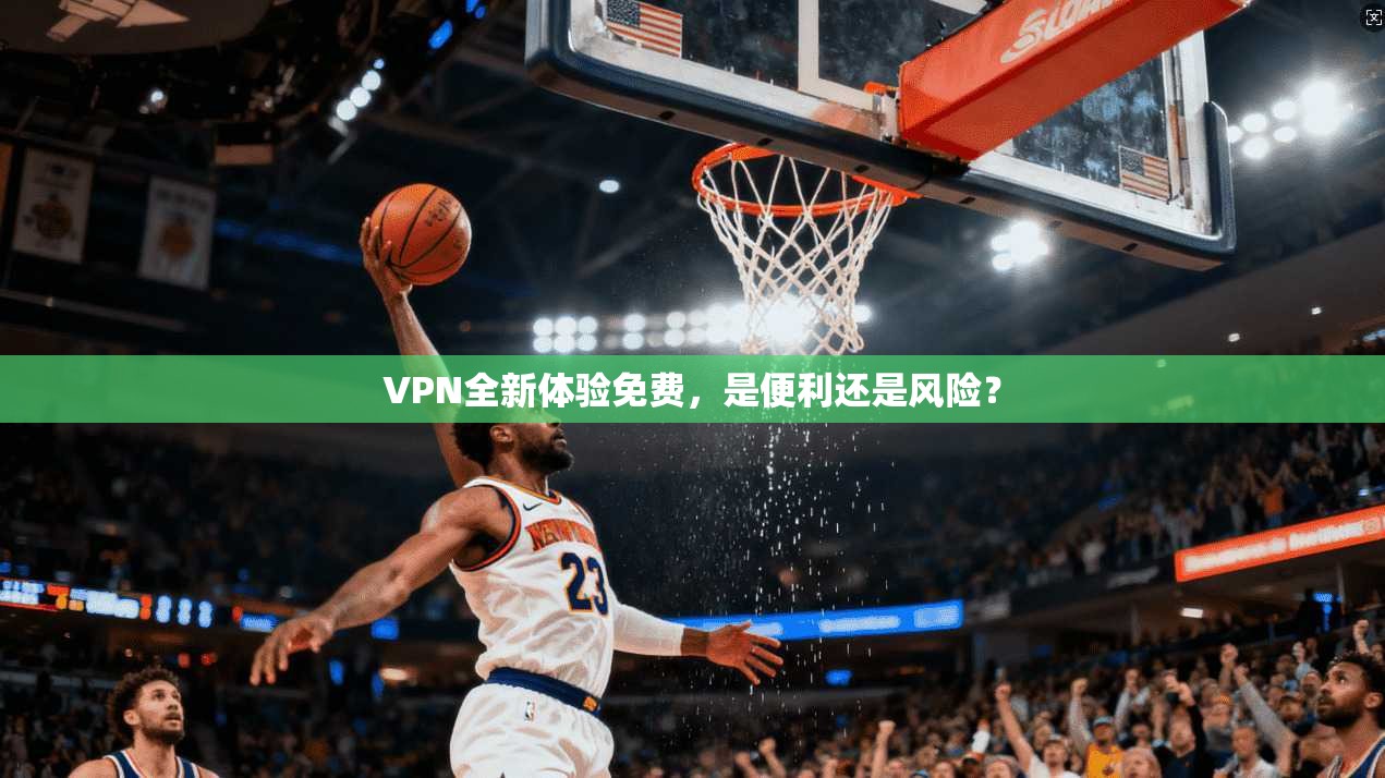VPN全新体验免费，是便利还是风险？