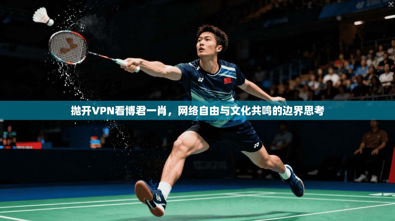抛开VPN看博君一肖，网络自由与文化共鸣的边界思考