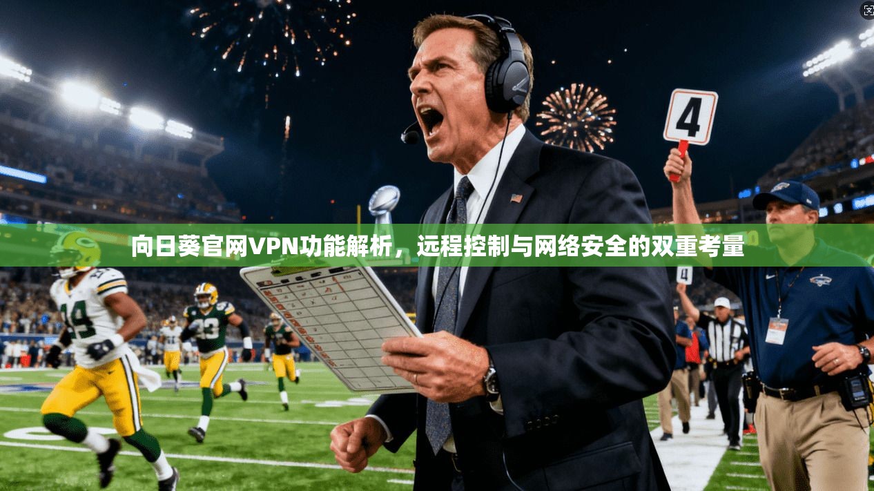 向日葵官网VPN功能解析，远程控制与网络安全的双重考量