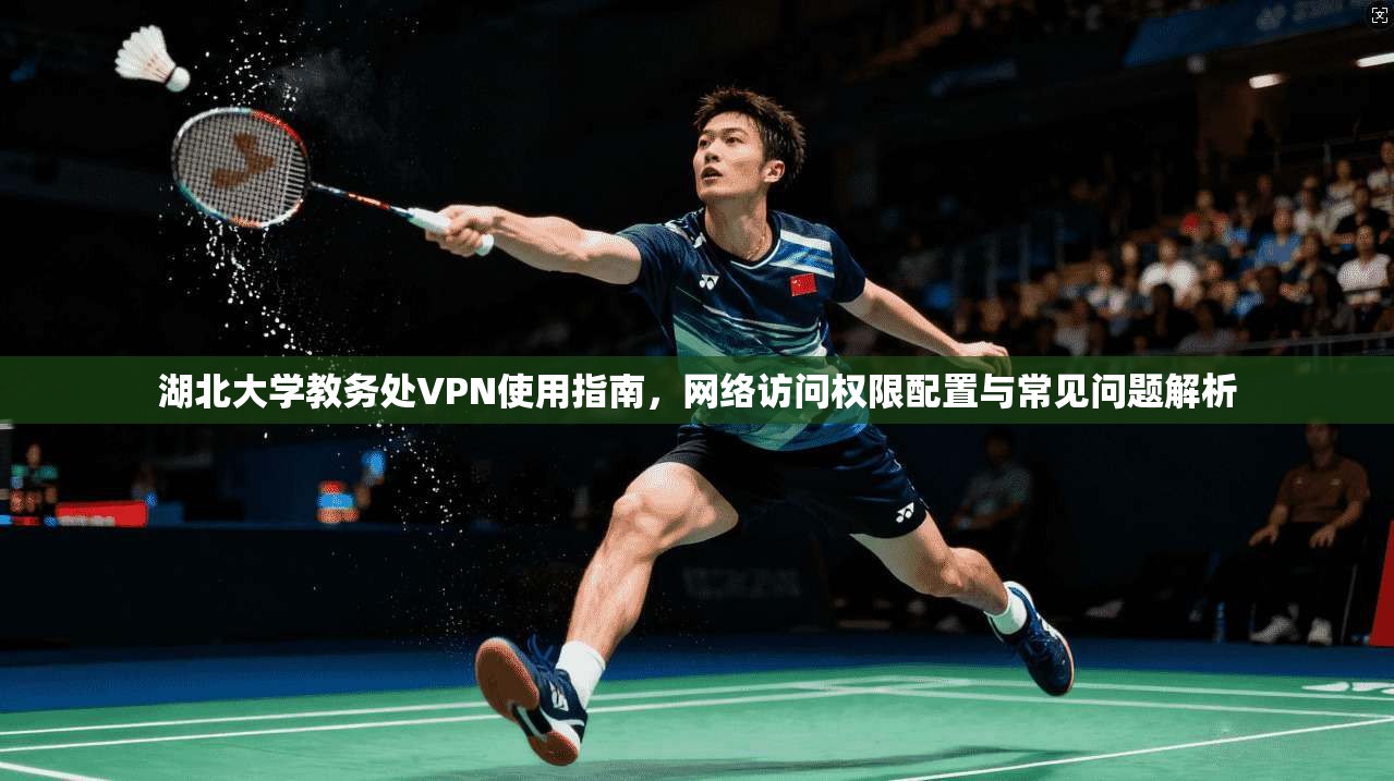 湖北大学教务处VPN使用指南，网络访问权限配置与常见问题解析